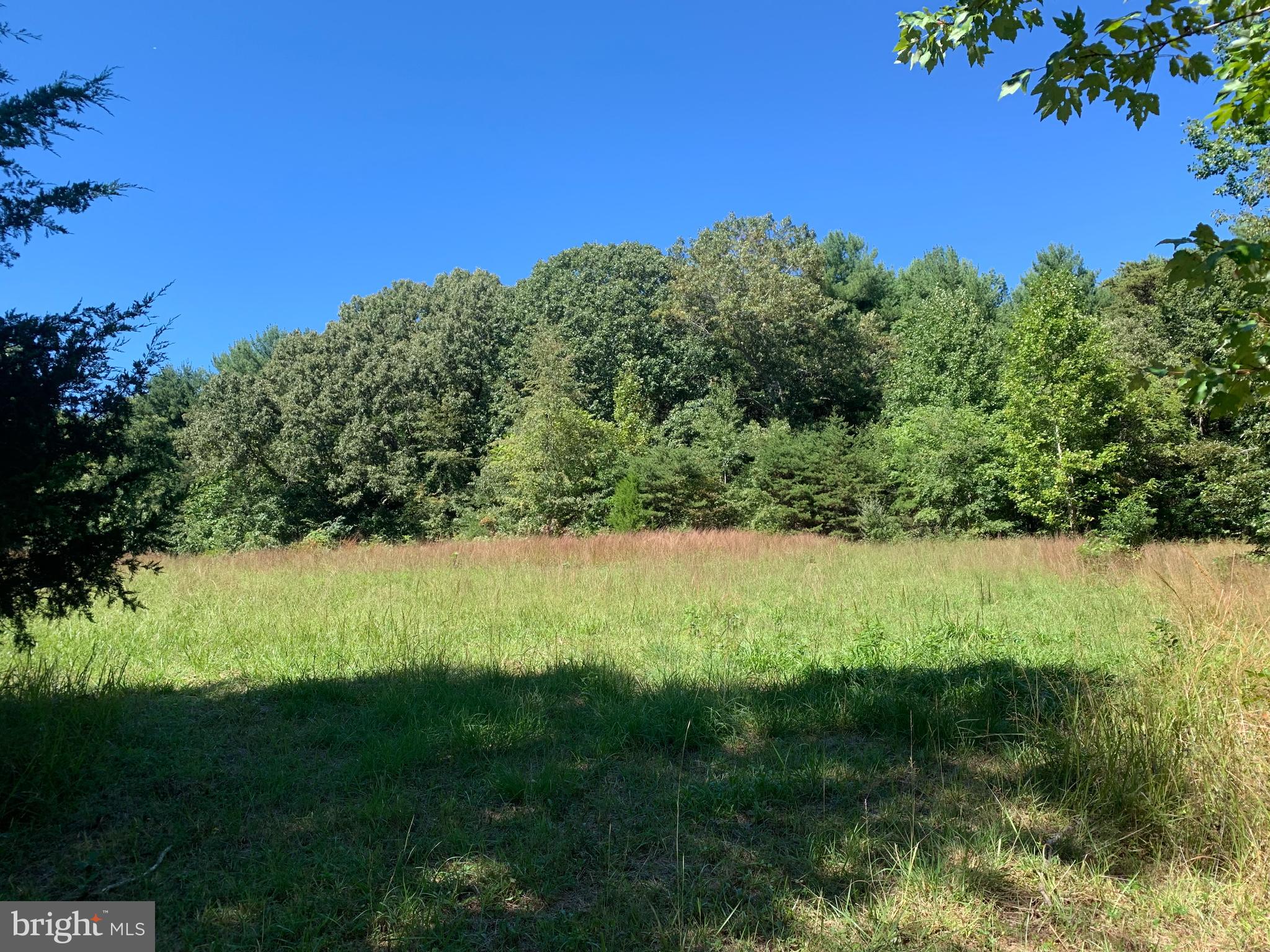 0 Raccoon Ford Road Culpeper, VA 22701 - Photo 13 of 14 Gallery Image 13