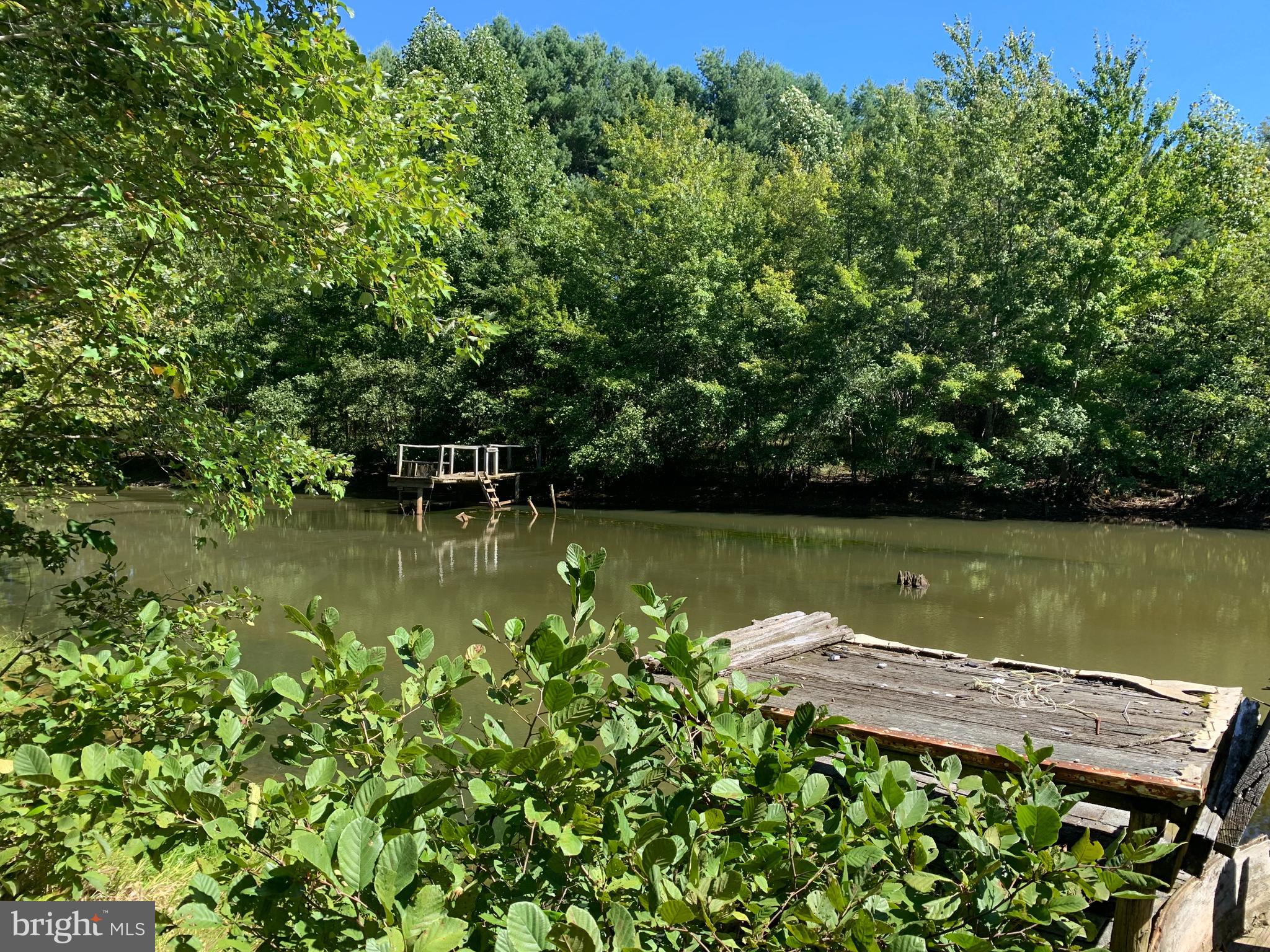 0 Raccoon Ford Road Culpeper, VA 22701 - Photo 3 of 14 Gallery Image 3