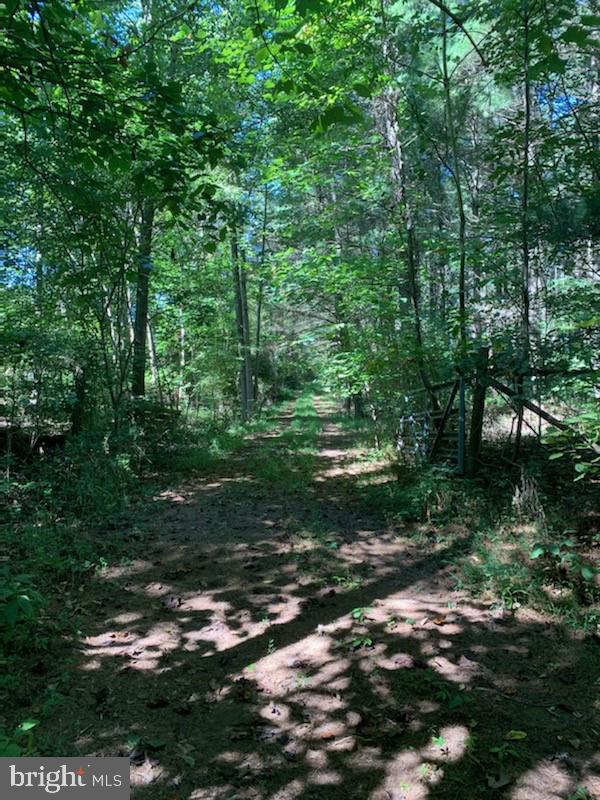 0 Raccoon Ford Road Culpeper, VA 22701 - Photo 8 of 14 Gallery Image 8
