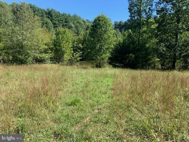 0 Raccoon Ford Road Culpeper, VA 22701 - Photo 9 of 14 Gallery Image 9