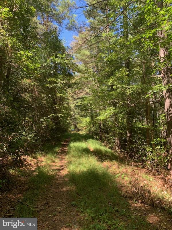 0 Raccoon Ford Road Culpeper, VA 22701 - Photo 10 of 14 Gallery Image 10