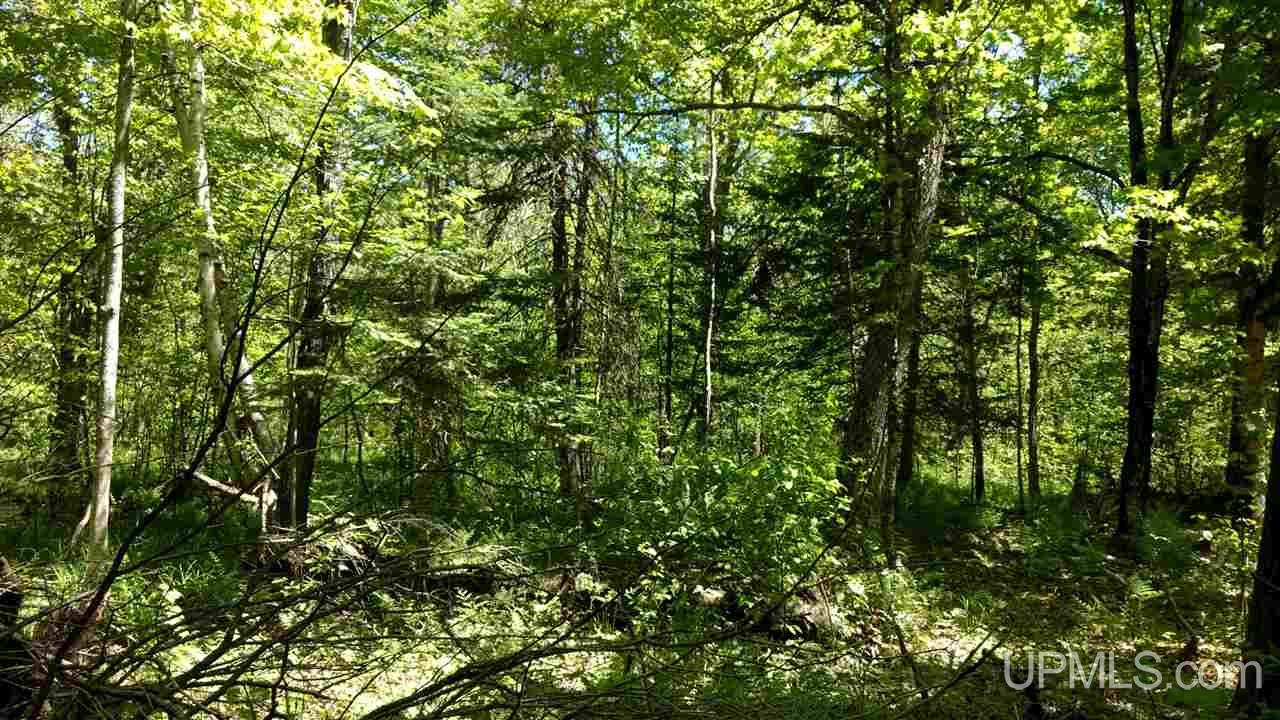 Tbd Tower Road Baraga, MI 49908 - Photo 4 of 12 Gallery Image 4