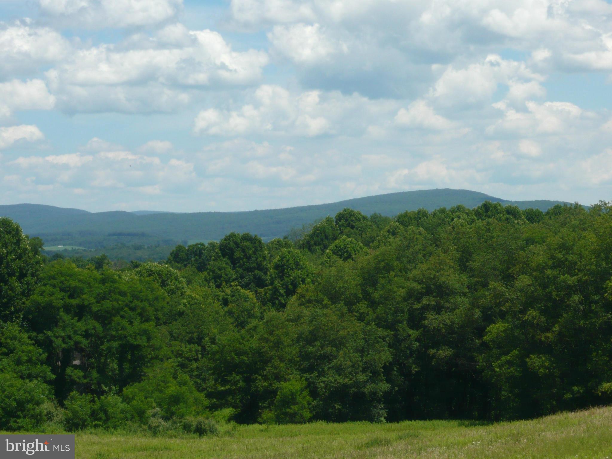 Frazee Ridge Road Friendsville, MD 21531 - Photo 4 of 6 View