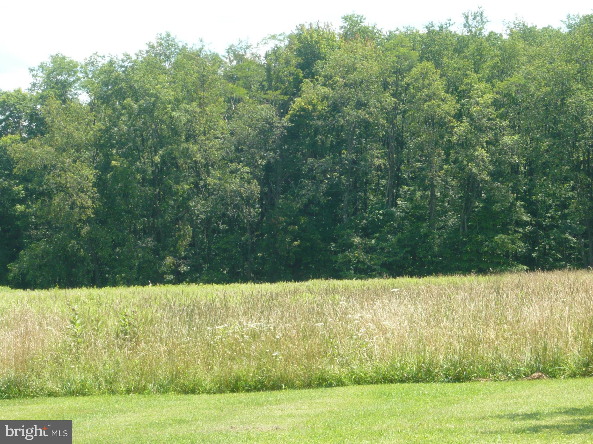 Frazee Ridge Road Friendsville, MD 21531 - Photo 6 of 6 View