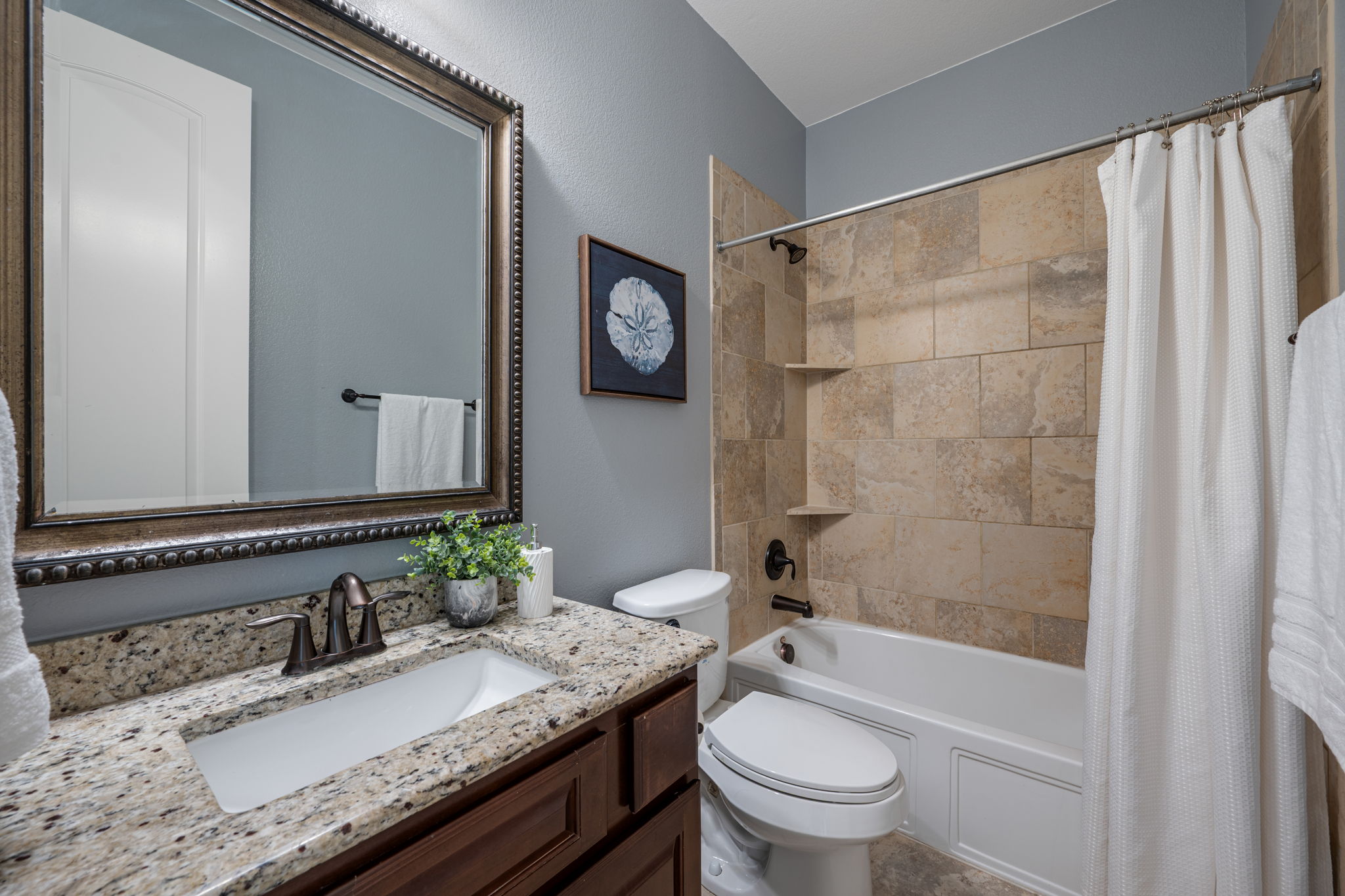 4503 Miraval Loop Round Rock, TX 78665 - Photo 19 of 35