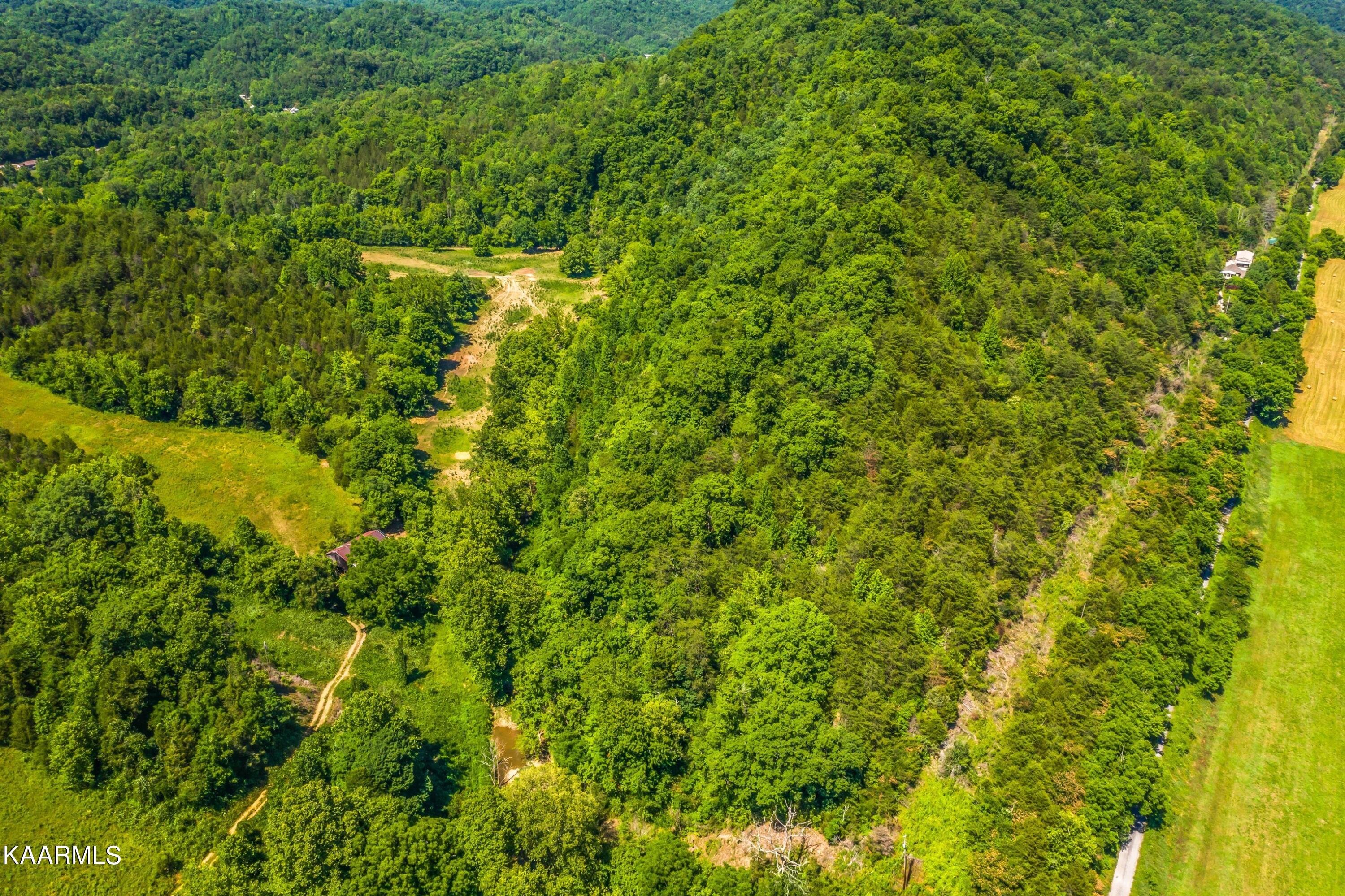 Tbd Tbd Alder Road Kyles Ford, TN 37765 - Photo 1 of 12 Exterior-3.jpg-SMALL