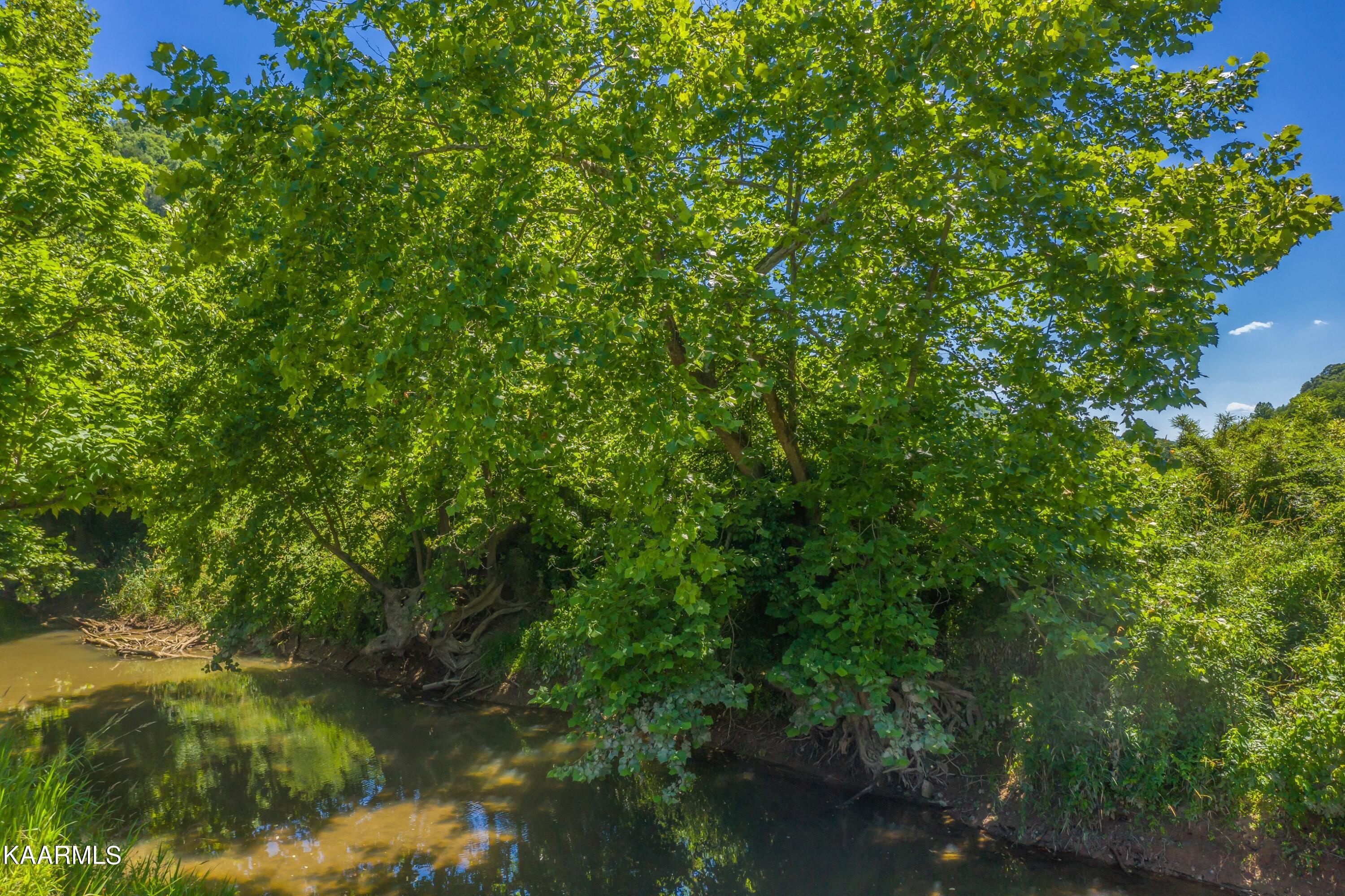 Tbd Tbd Alder Road Kyles Ford, TN 37765 - Photo 3 of 12 Exterior-13.jpg-SMALL