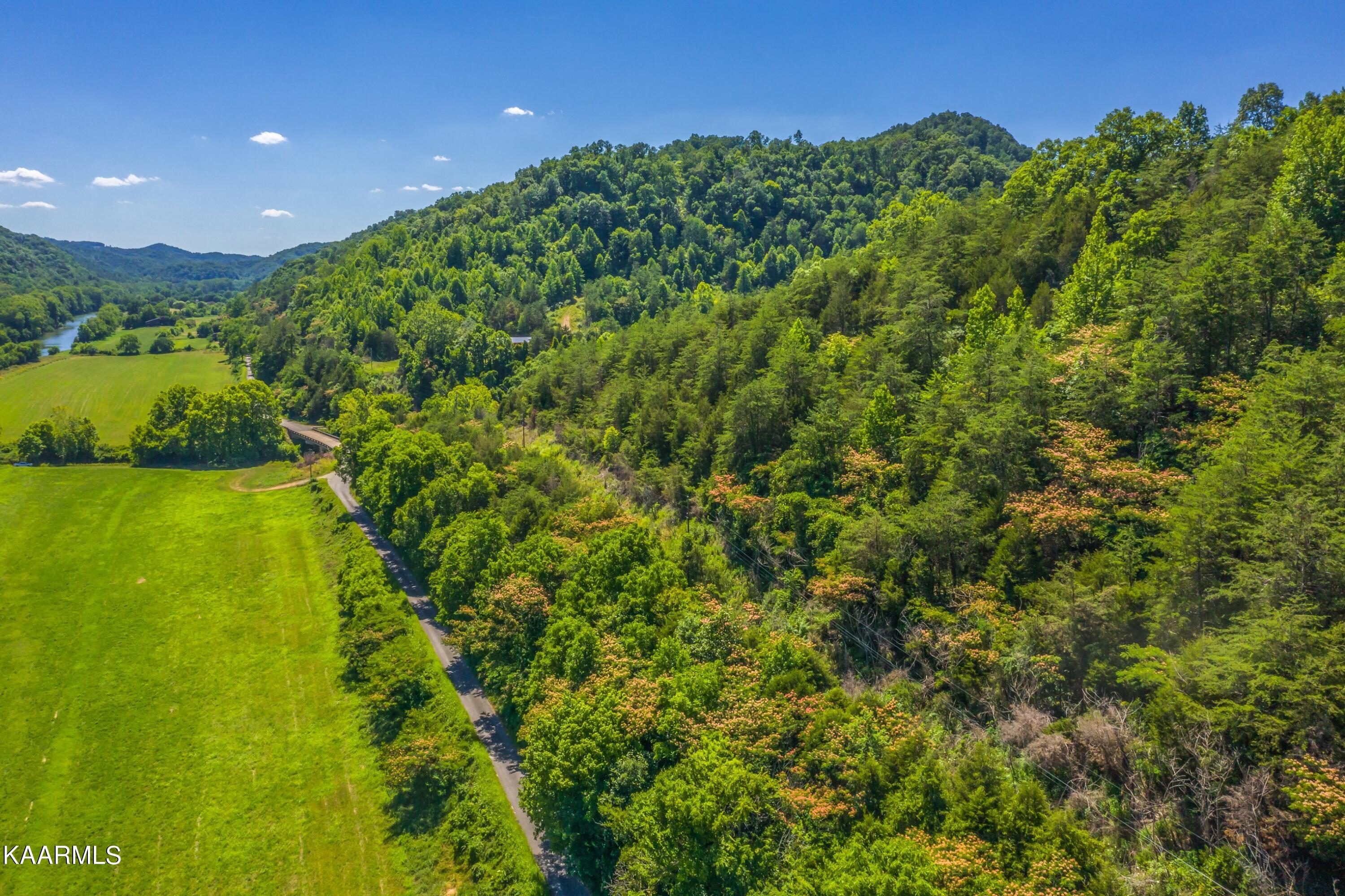 Tbd Tbd Alder Road Kyles Ford, TN 37765 - Photo 4 of 12 Exterior-16.jpg-SMALL