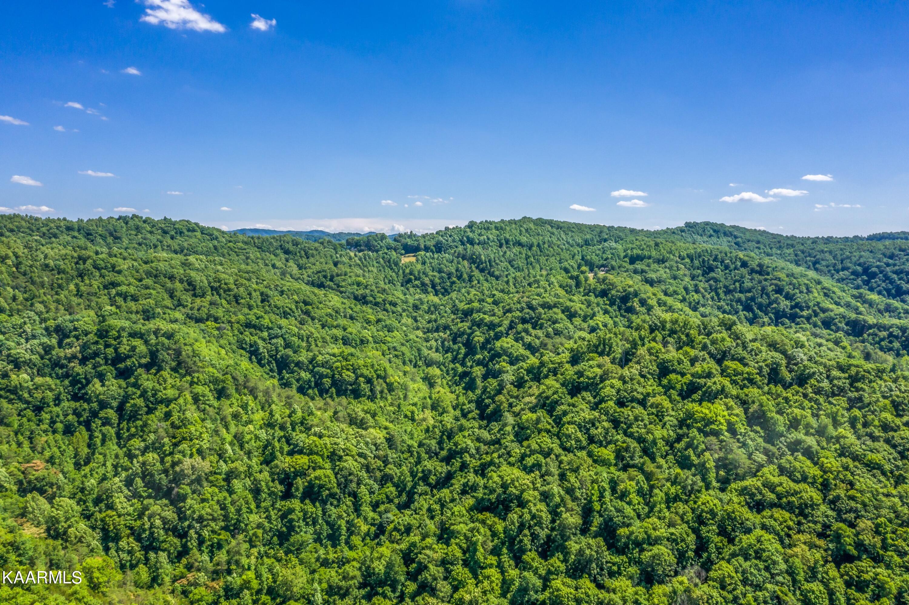 Tbd Tbd Alder Road Kyles Ford, TN 37765 - Photo 5 of 12 Exterior-29.jpg-SMALL