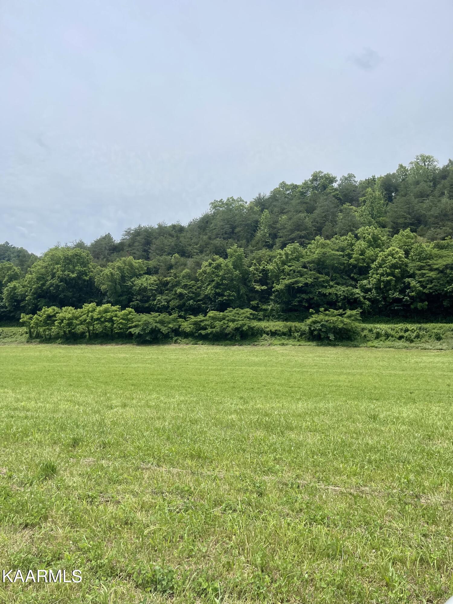 Tbd Tbd Alder Road Kyles Ford, TN 37765 - Photo 8 of 12 D94C9747-60E0-432C-AFA5-72D68C9668C6