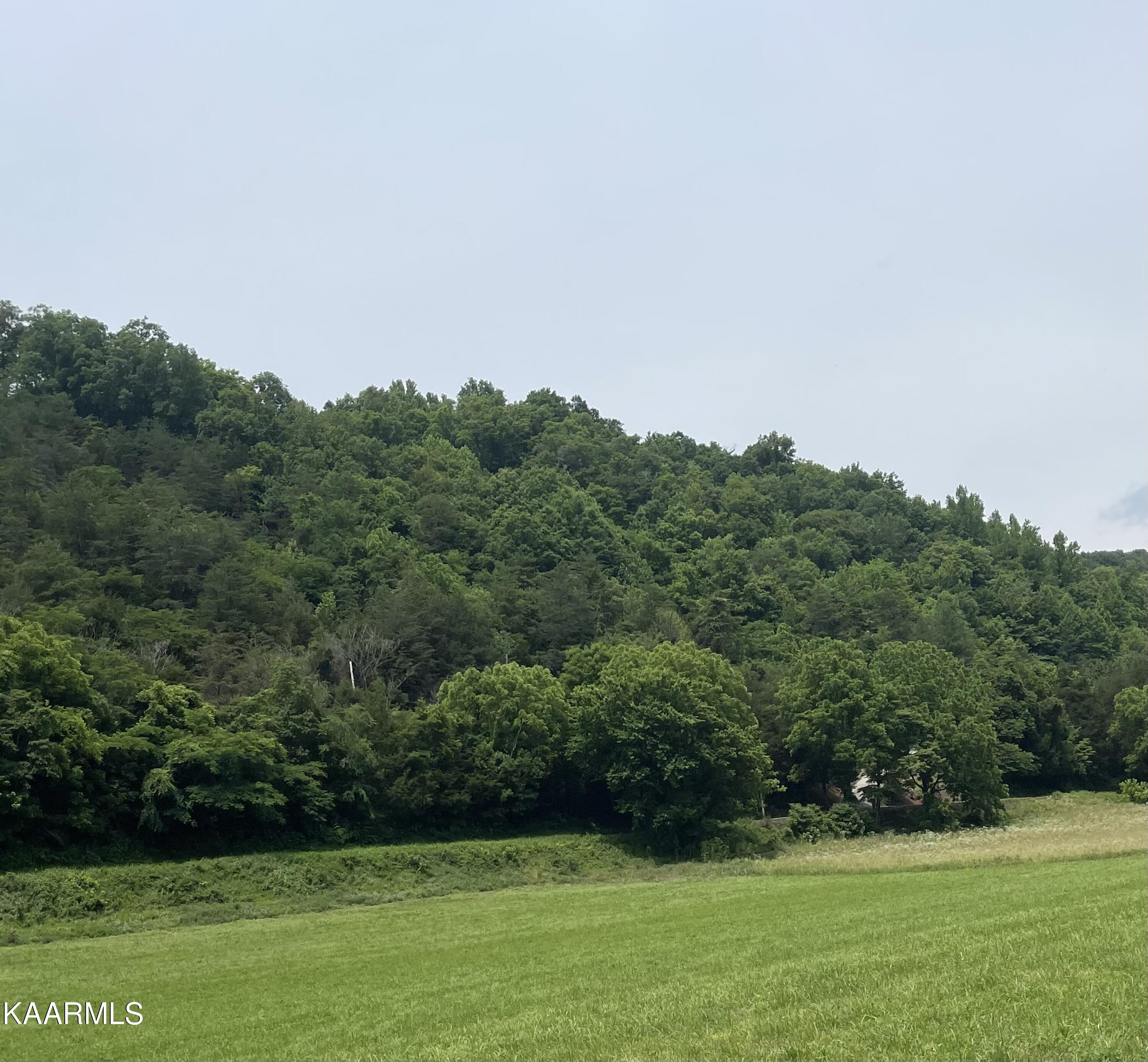 Tbd Tbd Alder Road Kyles Ford, TN 37765 - Photo 9 of 12 28846B90-853A-4F08-9CBD-7B88704B72F7