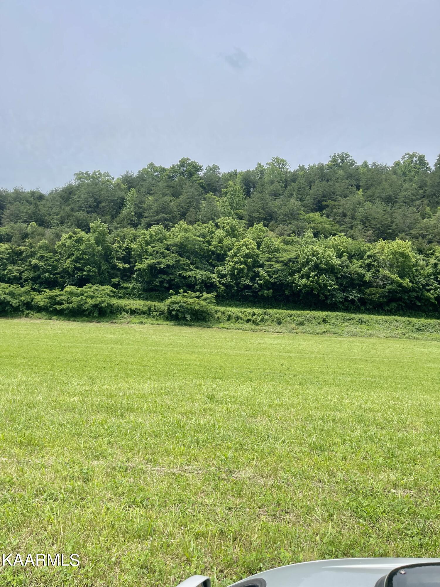 Tbd Tbd Alder Road Kyles Ford, TN 37765 - Photo 10 of 12 A5E9DDB9-1063-4044-9AC4-62D12A69C39E
