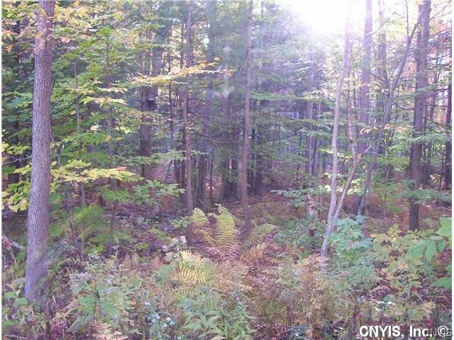 92 A Martin Road Constantia, NY 13042 - Photo 1 of 1 Land
