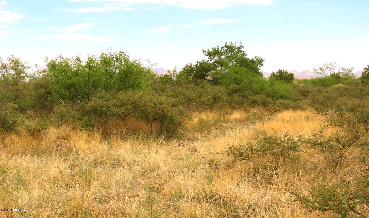 Tbd South Prairie Road, Unit 3 San Simon, AZ 85632 - Photo 3 of 7