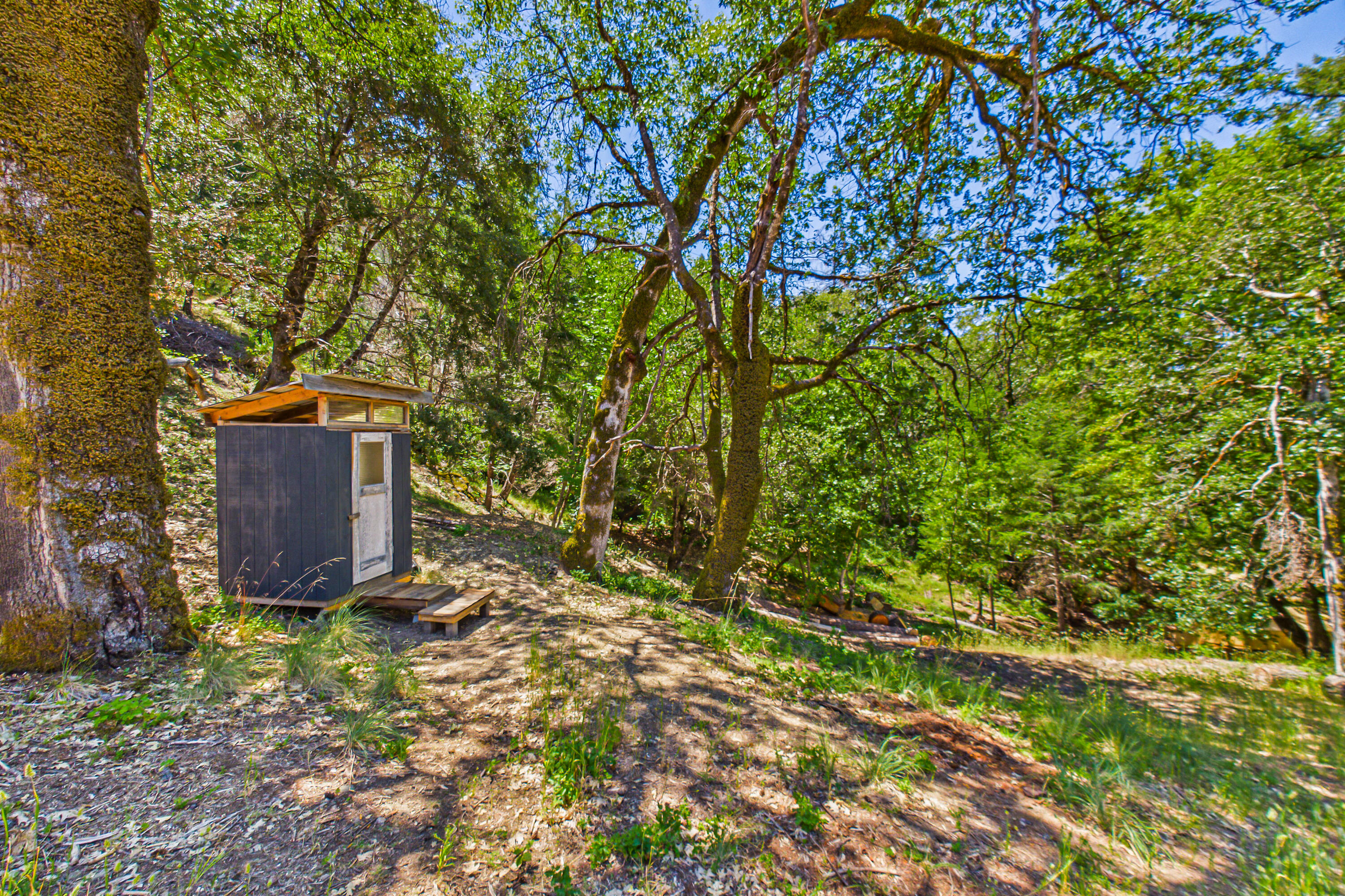 60890 Bell Springs Road Laytonville, CA 95454 - Photo 34 of 77 a backyard of a house with lots of green space