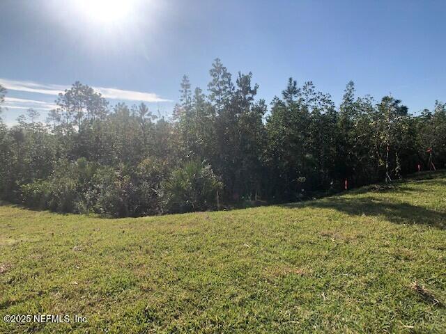 13991 Molina Drive Jacksonville, FL 32256 - Photo 29 of 34 a view of backyard with green space