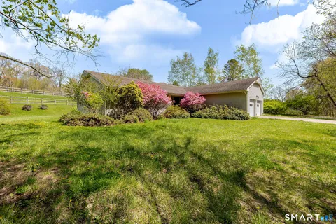 a view of a garden with an tree