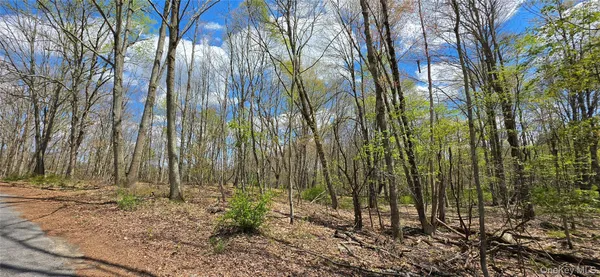 a view of backyard with tree