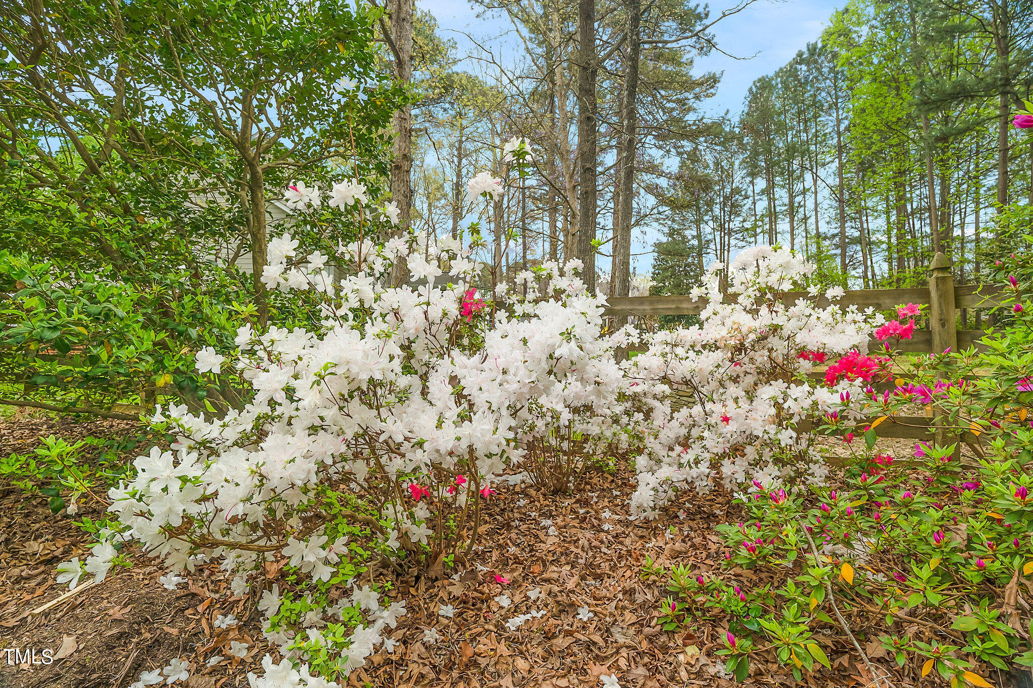 5628 Barham Court Raleigh, NC 27613 - Photo 49 of 52 P1167917