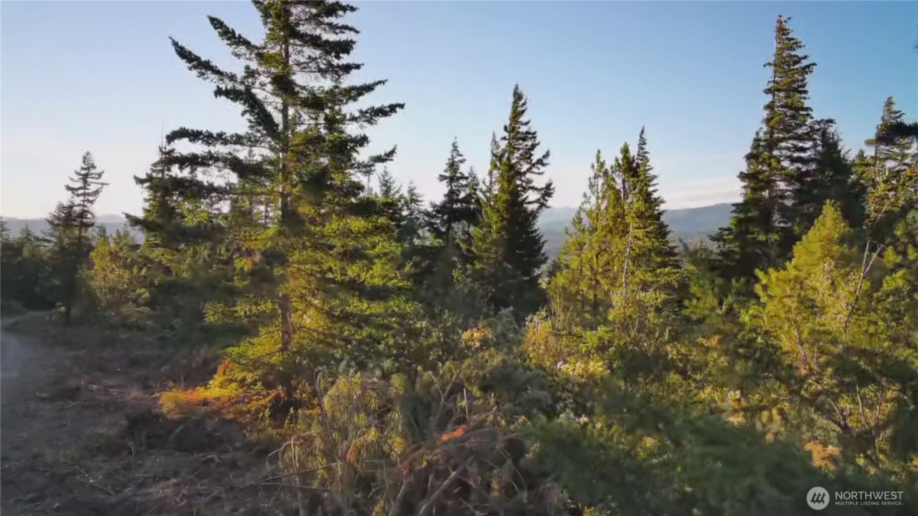 0 Upper Peoh Point Road Cle Elum, WA 98922 - Photo 5 of 5 Gallery Image 5