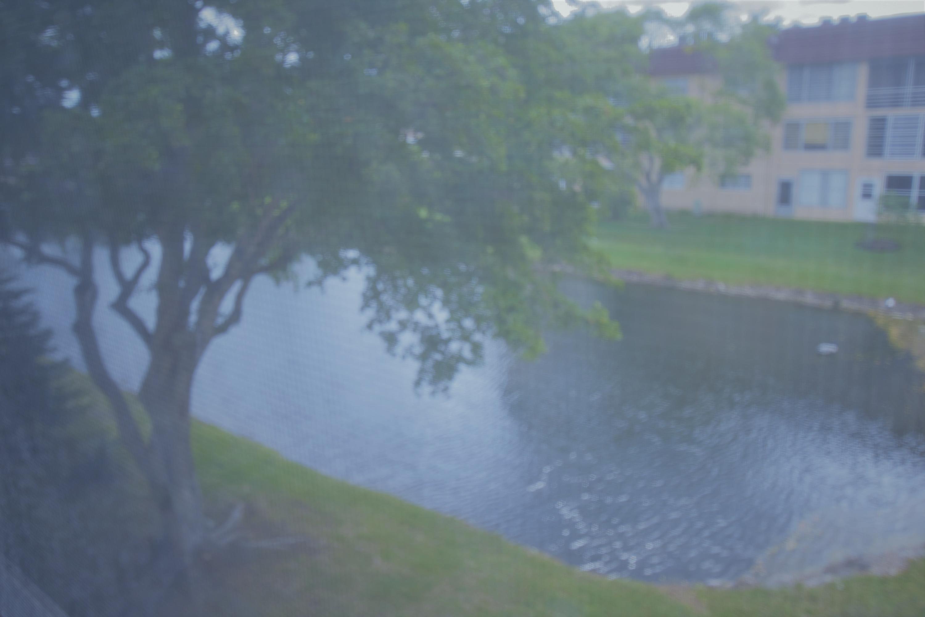 2780 North Pine Island Road, Unit 312 Sunrise, FL 33322 - Photo 13 of 30 a view of a yard