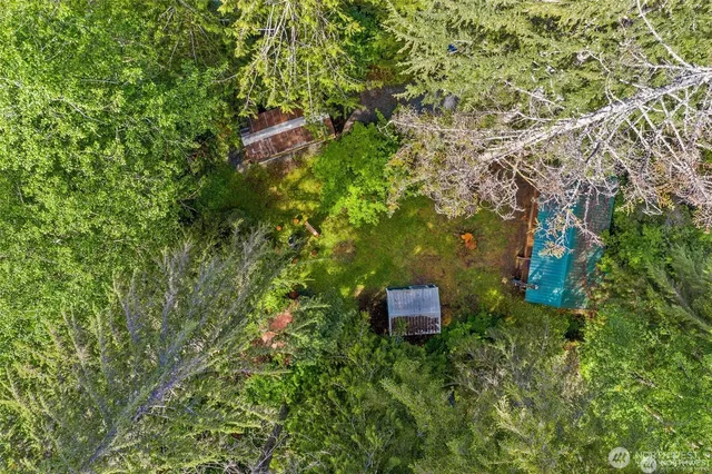 a view of a house with backyard and trees