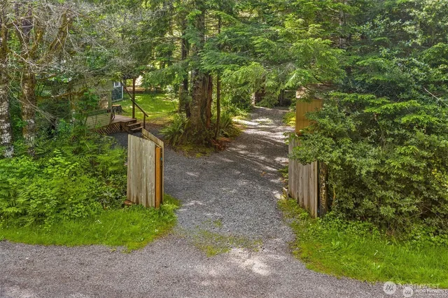 a street view with tall trees