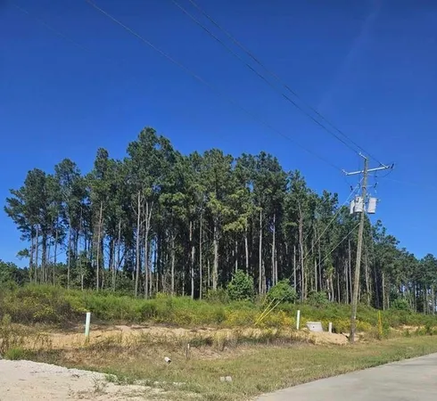 $1,000 | 2055 Road 5913 Cleveland Tx 77327, Cleveland, TX 77327