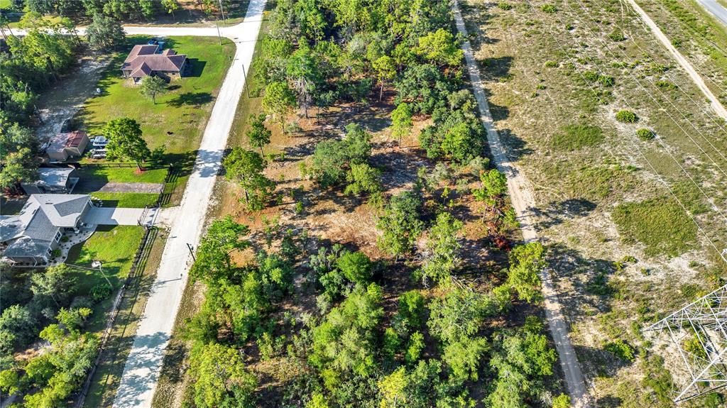 0 Condor Road Brooksville, FL 34614 - Photo 12 of 19