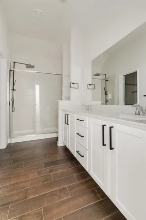 a bathroom with a sink a mirror and a shower