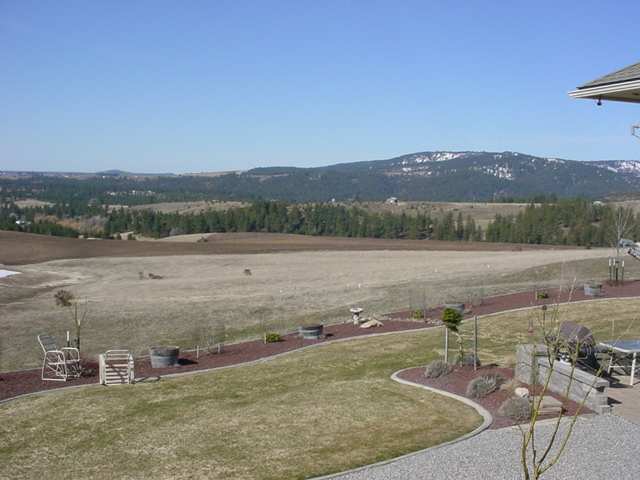 8702 South Jackson Road Mica, WA 99023 - Photo 9 of 9