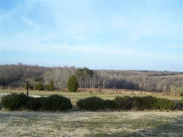 420 Pinckney Road Pauline, SC 29374 - Photo 11 of 11