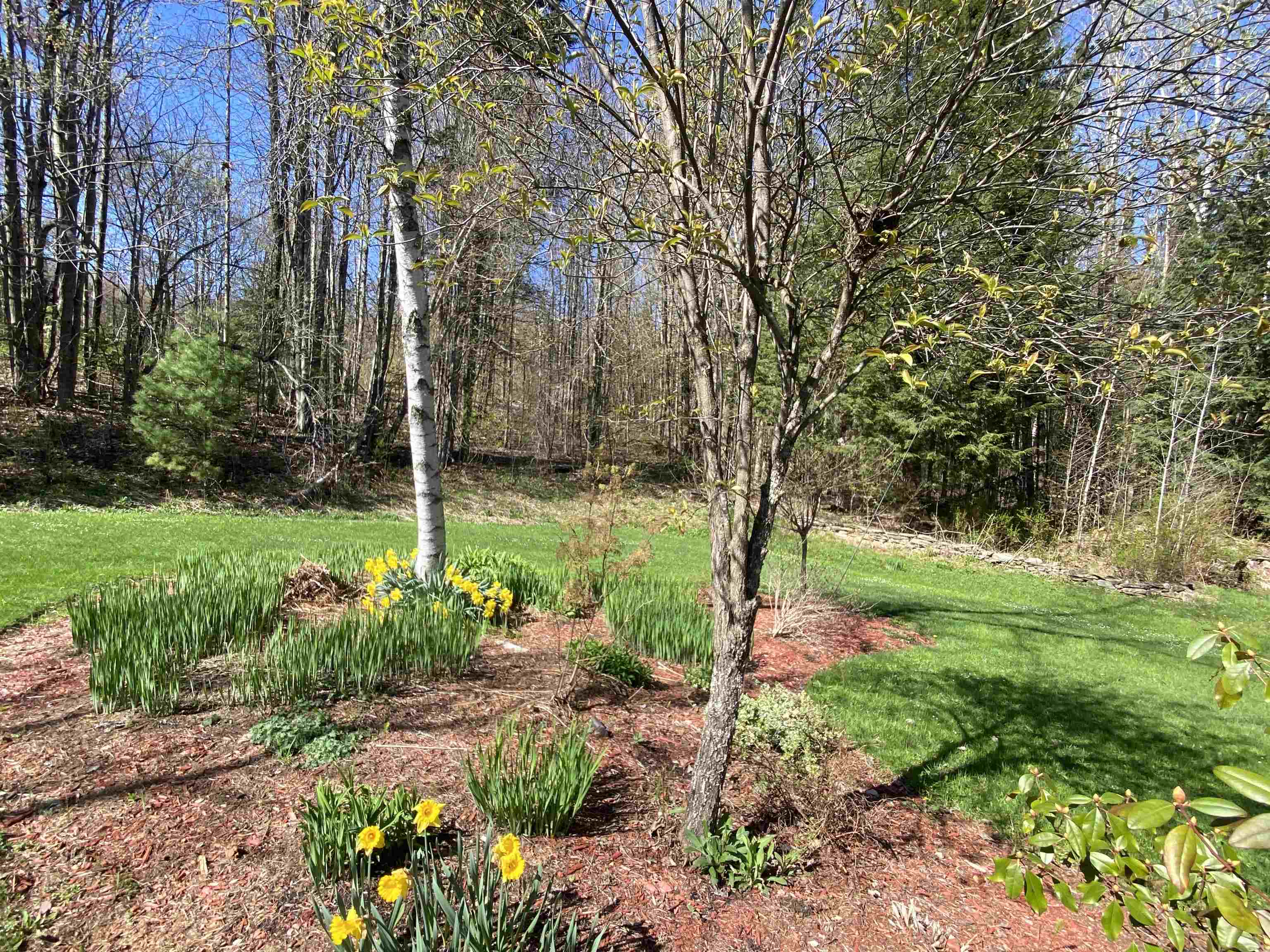 1288 West Hill Road Wolcott, VT 05680 - Photo 19 of 30
