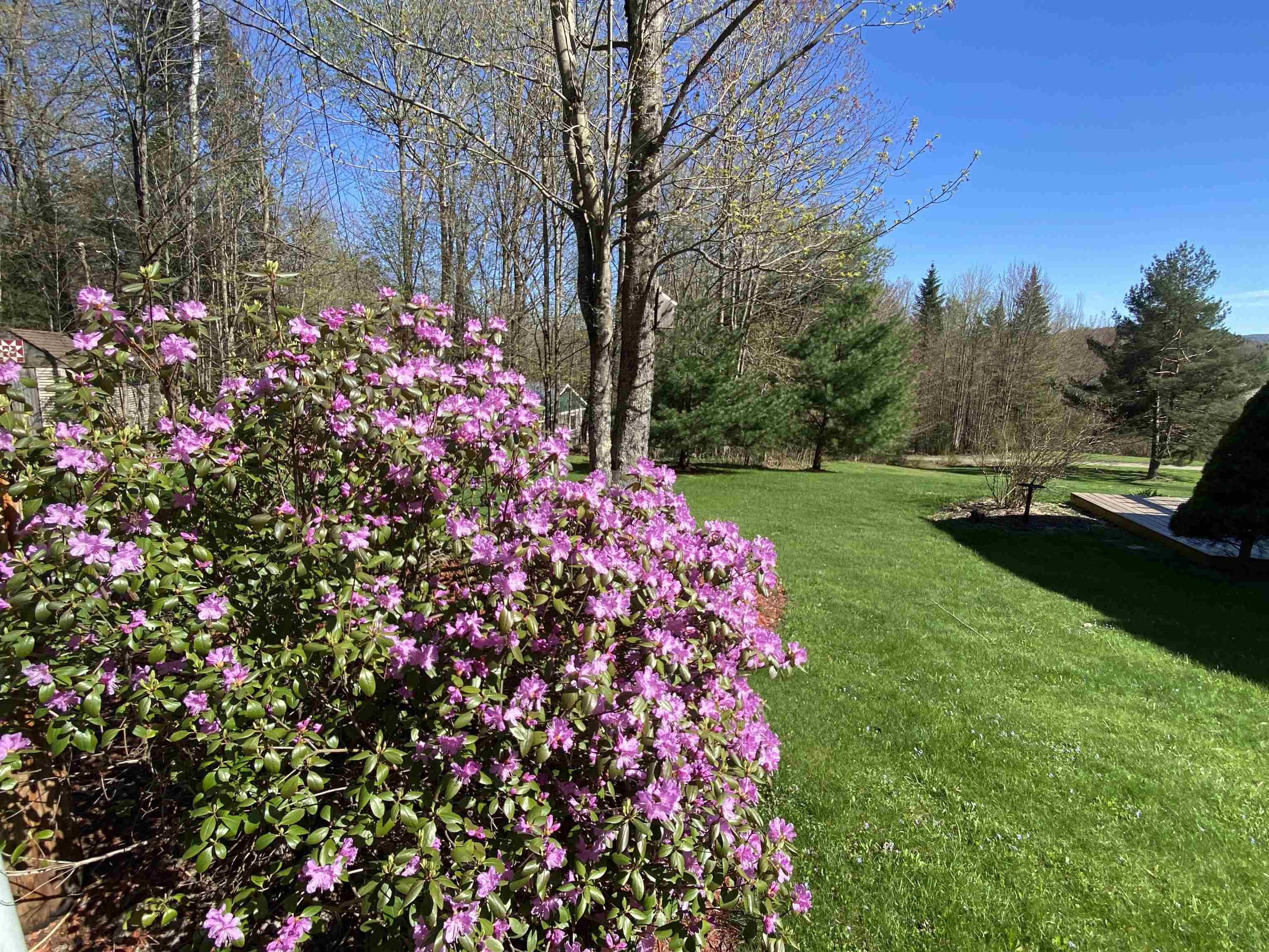 1288 West Hill Road Wolcott, VT 05680 - Photo 20 of 30