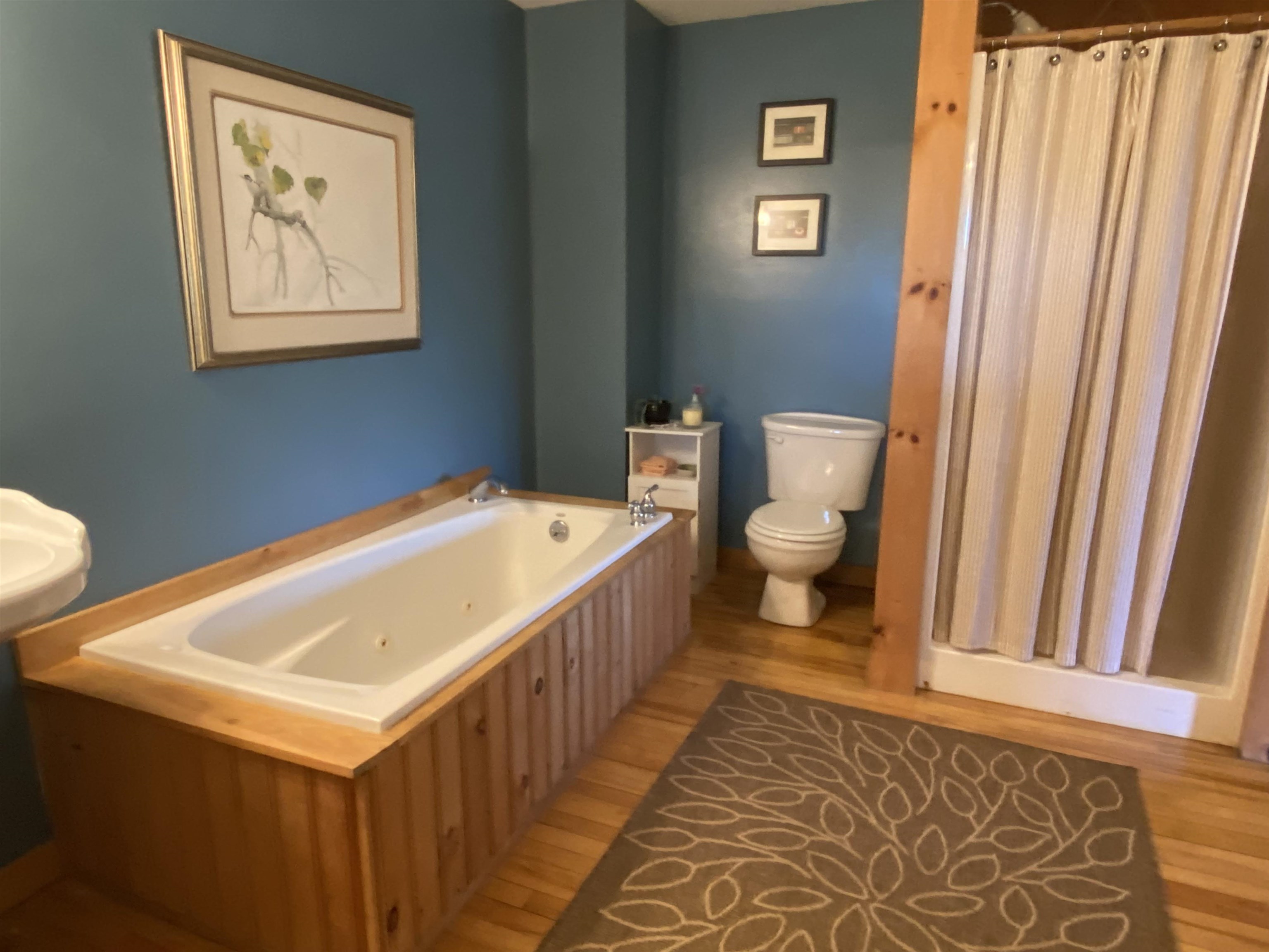 1288 West Hill Road Wolcott, VT 05680 - Photo 8 of 30