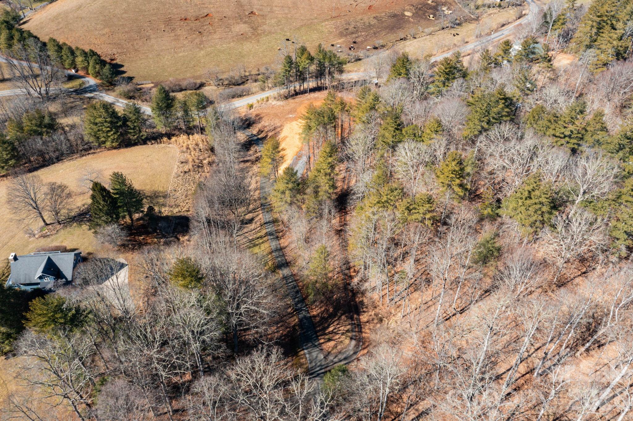 Tbd Kelly Hunter Road Marshall, NC 28753 - Photo 25 of 26 a view of river covered by trees
