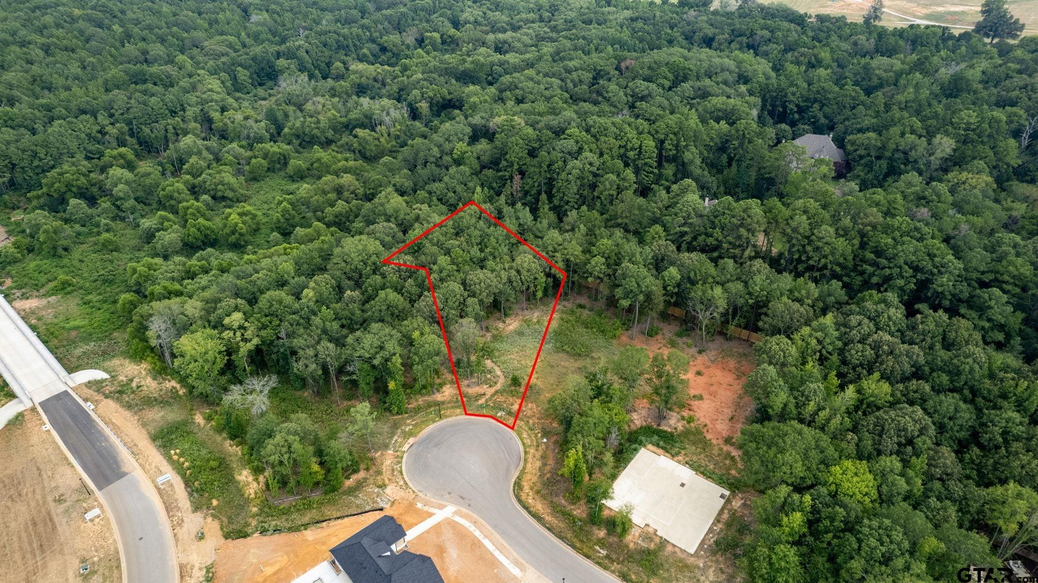 9299 Caddo Rdg Cove Tyler, TX 75703 - Photo 16 of 23