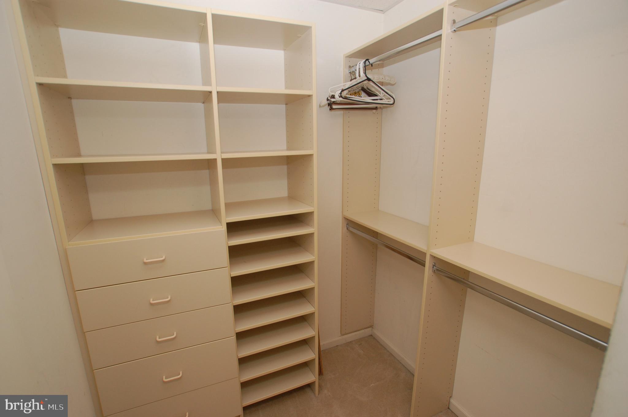 2103 Centennial Station Warminster, PA 18974 - Photo 23 of 80 2nd Bedroom Walk In