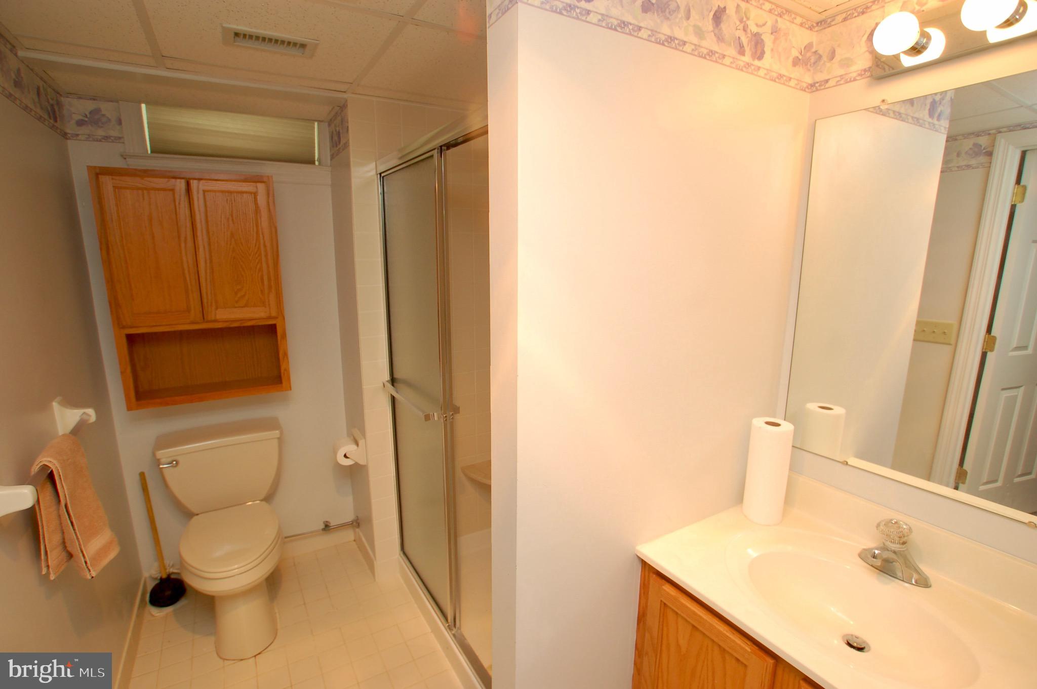 2103 Centennial Station Warminster, PA 18974 - Photo 29 of 80 Basement Full Bath