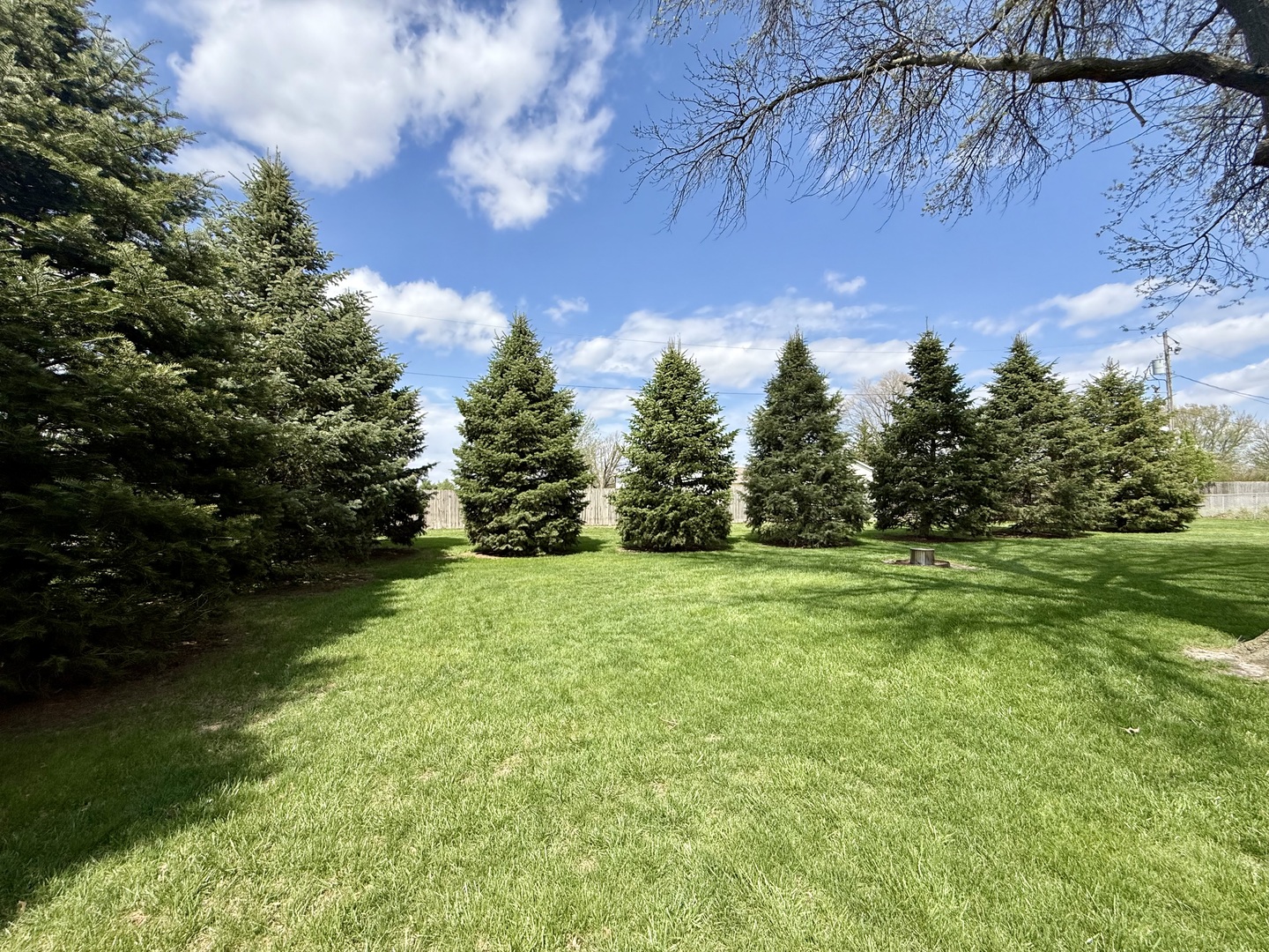 107 3rd Street Broadlands, IL 61816 - Photo 26 of 26