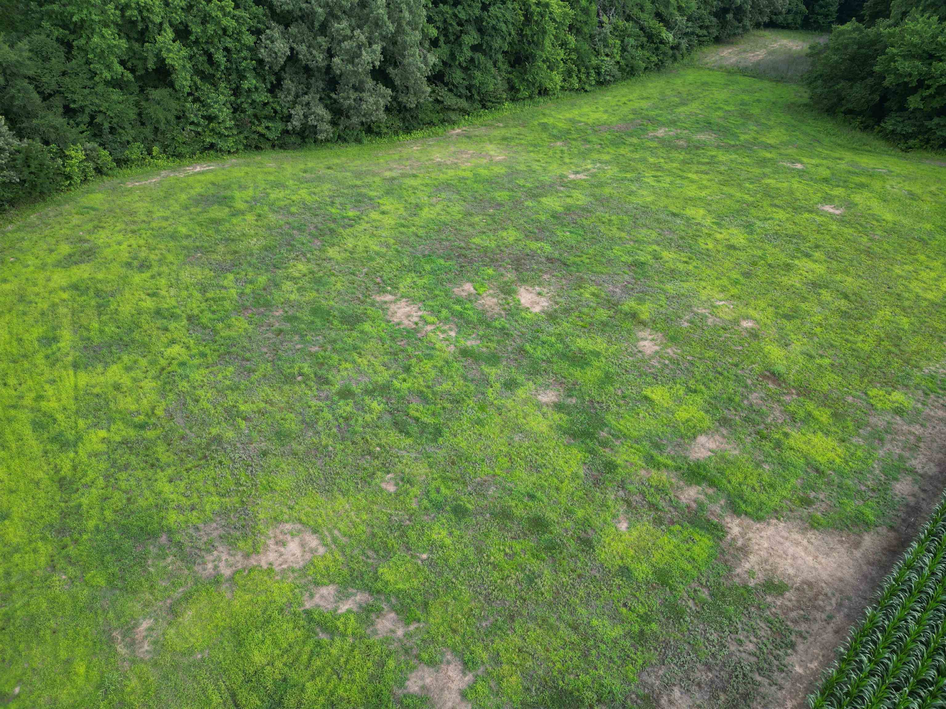 4035 Atoka Idaville Road Atoka, TN 38004 - Photo 17 of 25