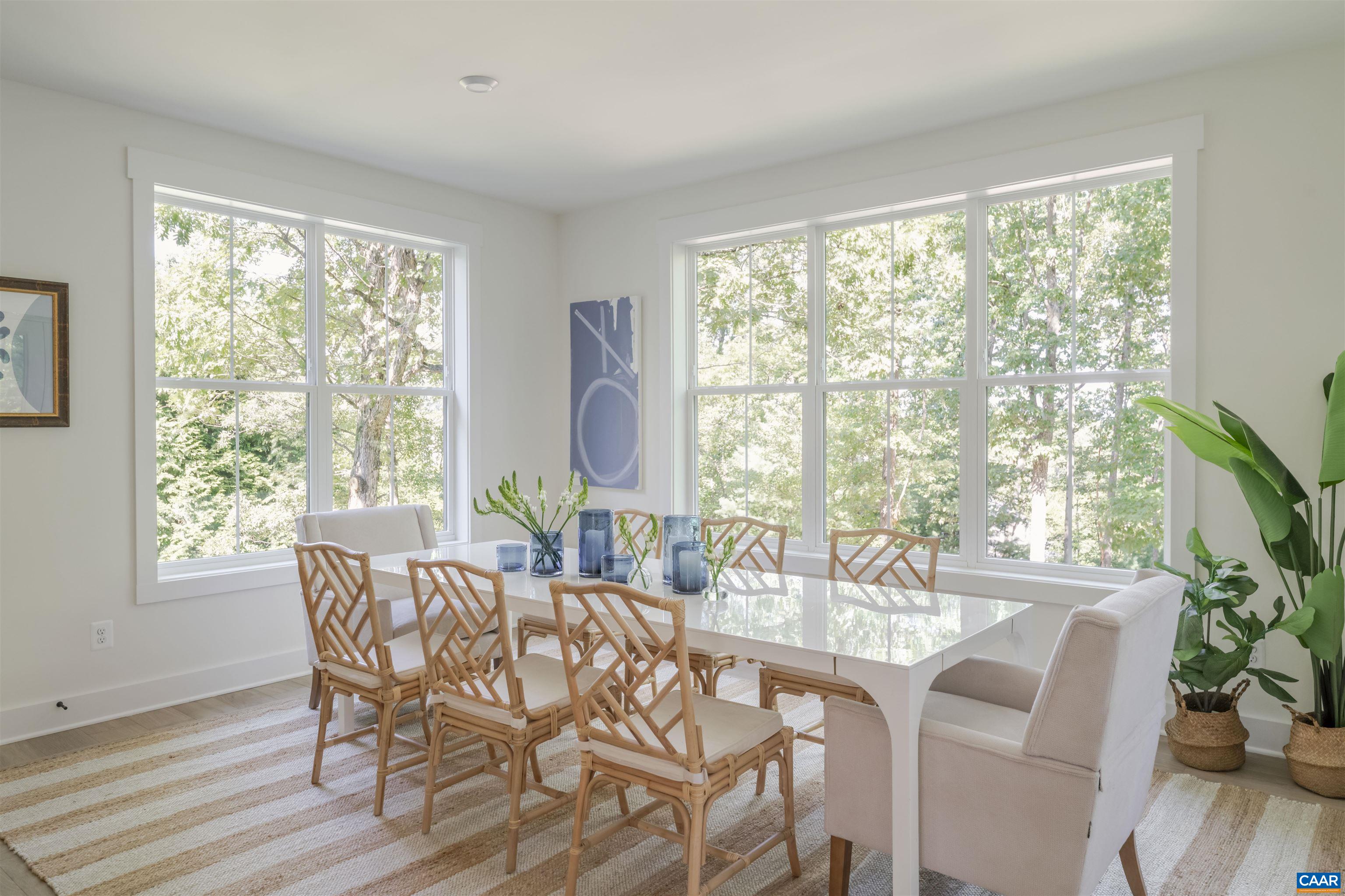 Tbd Dudley Mountain Road Charlottesville, VA 22903 - Photo 19 of 57