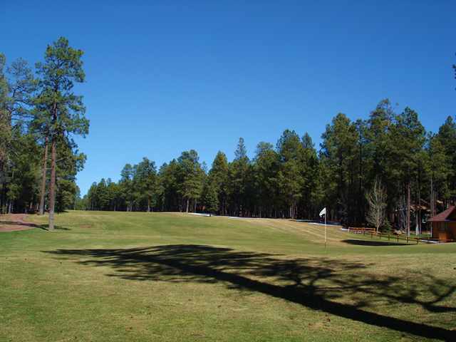 7276 Geronimo Road Pinetop, AZ 85935 - Photo 2 of 12 Gallery Image 2