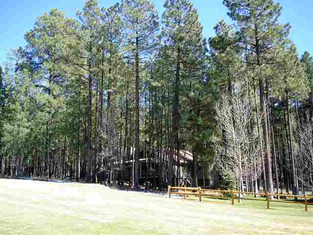 7276 Geronimo Road Pinetop, AZ 85935 - Photo 3 of 12 Gallery Image 3