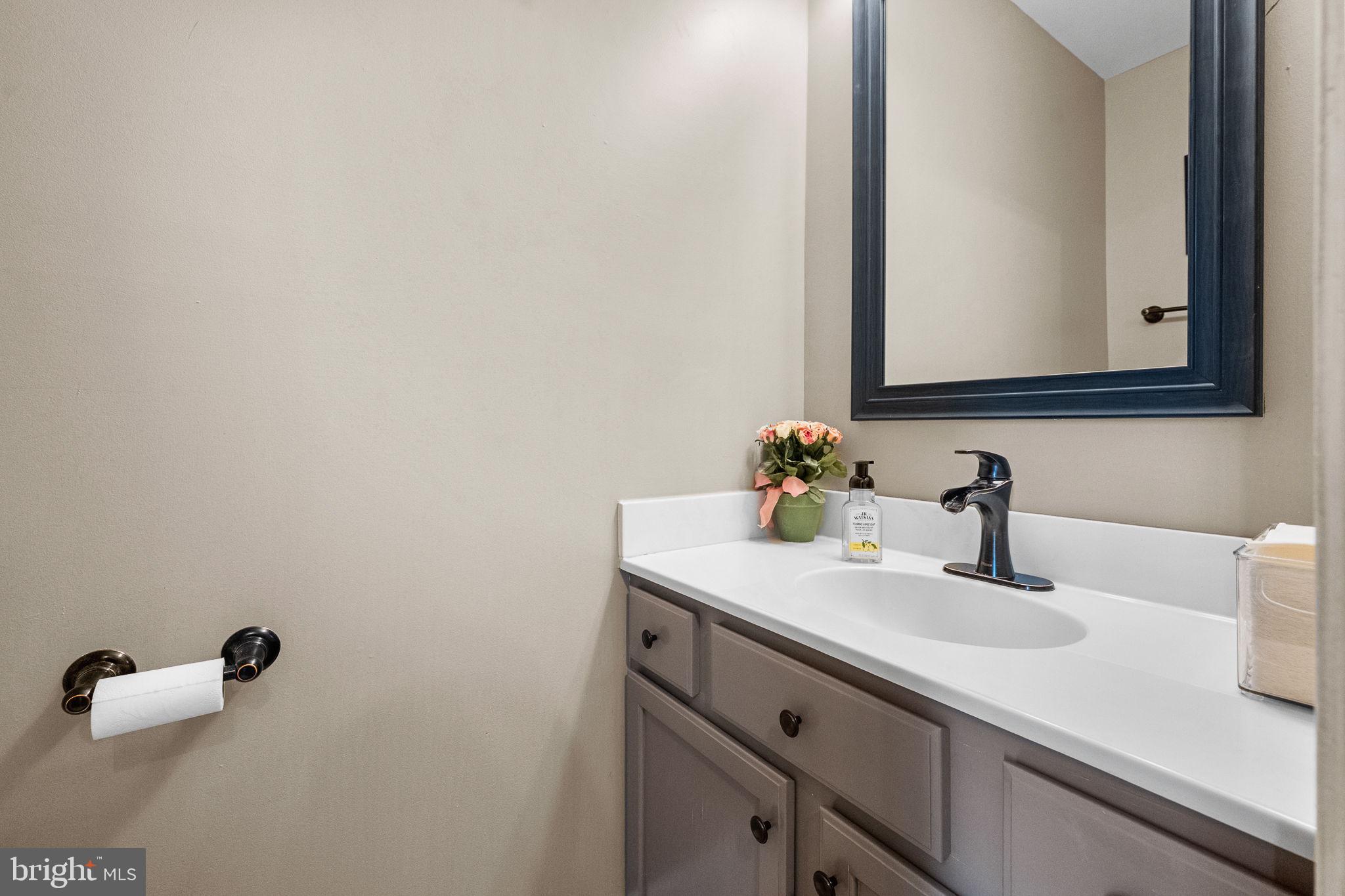 43111 Gatwick Square Ashburn, VA 20147 - Photo 14 of 34 a bathroom with a sink and a mirror