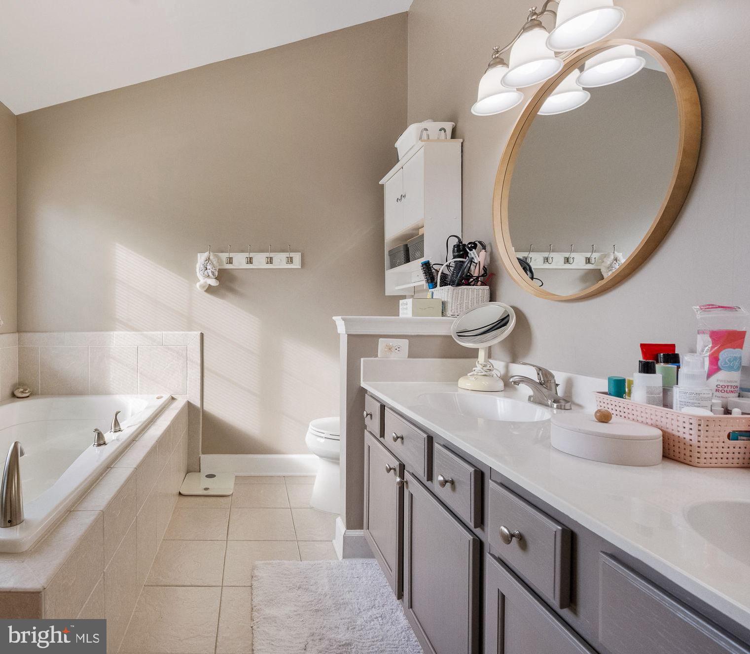 43111 Gatwick Square Ashburn, VA 20147 - Photo 17 of 34 a bathroom with a sink and a mirror