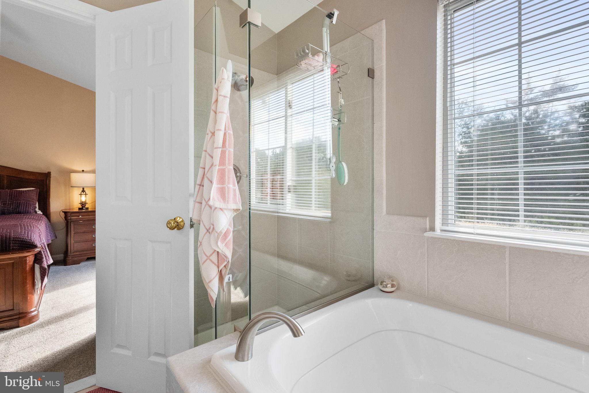 43111 Gatwick Square Ashburn, VA 20147 - Photo 18 of 34 a bathroom with a sink and a mirror