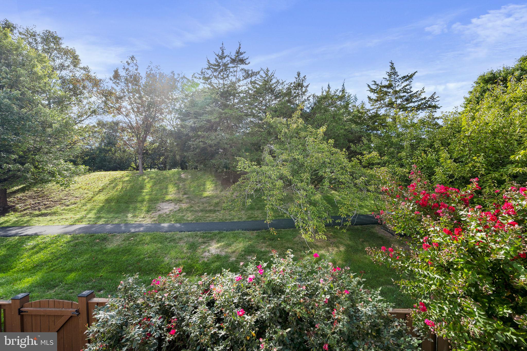 43111 Gatwick Square Ashburn, VA 20147 - Photo 34 of 34 a view of a garden with a flower garden