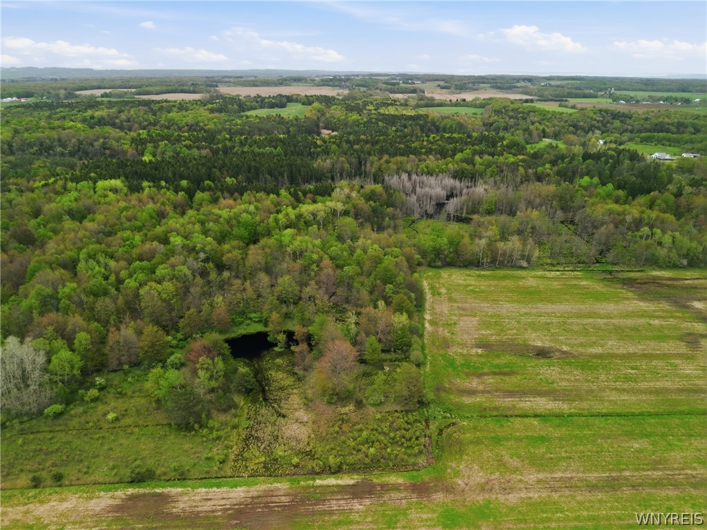 0 Genesee Road Lawtons, NY 14091 - Photo 15 of 34