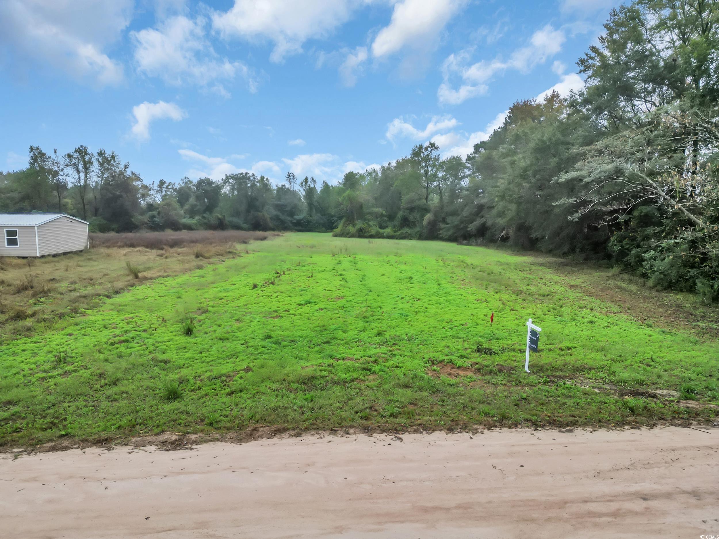 Tbd Willow Grove Drive Loris, SC 29569 - Photo 17 of 34